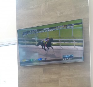 RAinha Pioneira 04.07