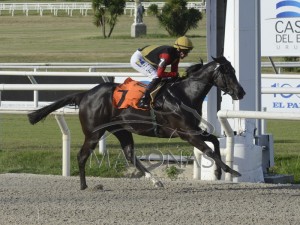 RAinha pioneira 02.02.19