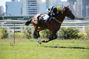 Terra de Campeões 25.07