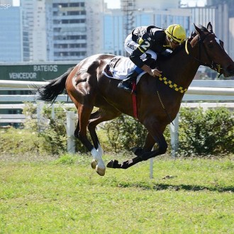 Terra de Campeões vence a 2ª de ponta à ponta em Cidade Jardim