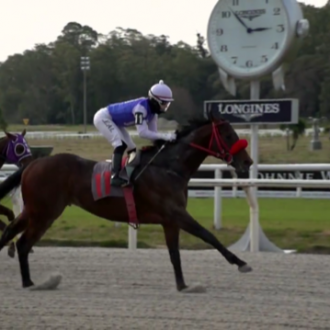 Upper Class (Tiger Heart) vence na estréia em Maroñas