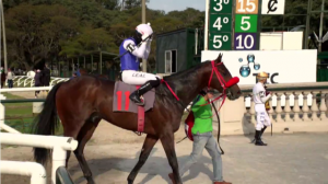 Upper Class 19.07 paddock