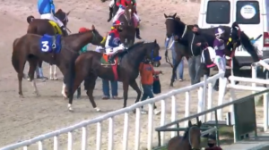 BAck REason 03.08 paddock