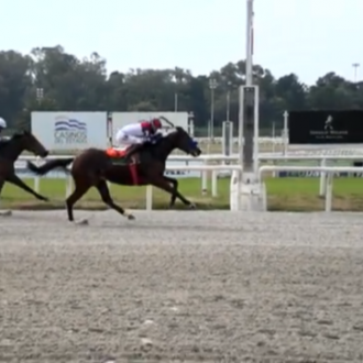 Back Reason vence Listed em Maroñas e reafirma a qualidade da criação do Santarém para seus pensionistas