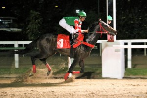 Nergy of Tiger 25.08