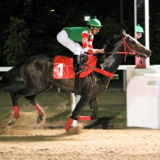 Nergy of Tiger vence na Gávea