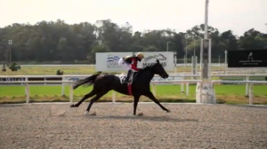 RAinha Pioneira 08.08 disco