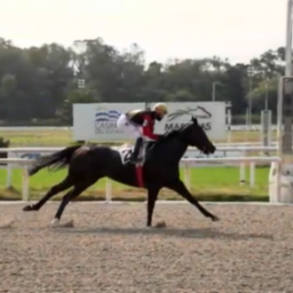 Rainha Pioneira vence Grupo 3 em Maroñas