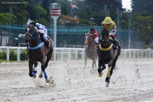 Royal Forestry 27.08