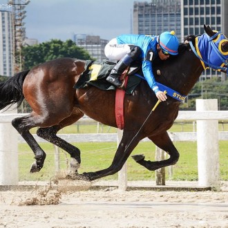 Takashi vence sua nona carreira na Prova Especial Vicente Romano e permanece invicto na areia