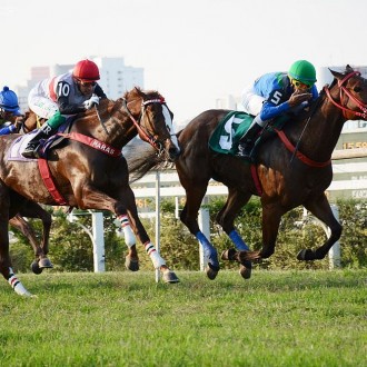 Una Macchina (Courtier) vence em Cidade Jardim