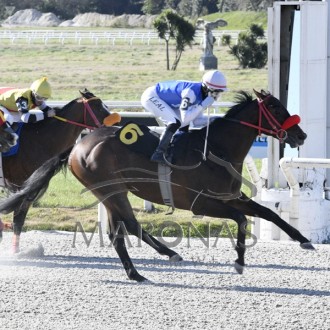 Upper Class (Tiger Heart) vence Clásico Romántico (L) em Maroñas e permancece invicto