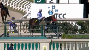 Upper Class 16.08 foto da vitória