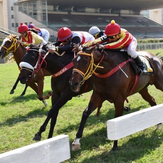 Grande Kiko (Courtier) vence a Prova Especial Quari Bravo