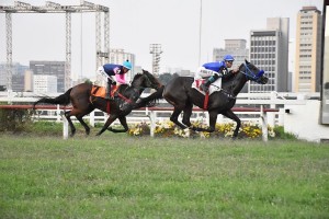 Hora do Samba 12.09 chegada