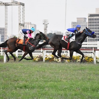 Hora do Samba (Tiger Heart) vence em Cidade Jardim
