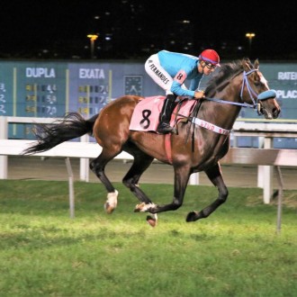 Regnum (Pioneering) vence a 3ª carreira na Gávea