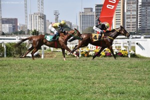 TErra de Campeões 05.09