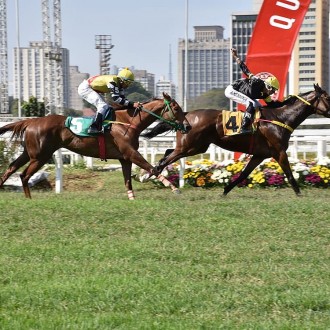 Terra de Campeões (Glória de Campeão) vence a quarta carreira em CJ