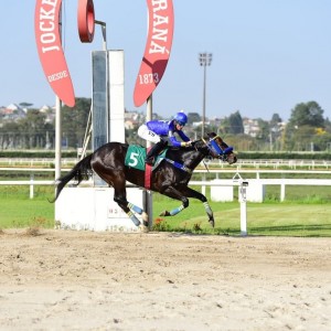 Tarsílio PE Duque de Caxias