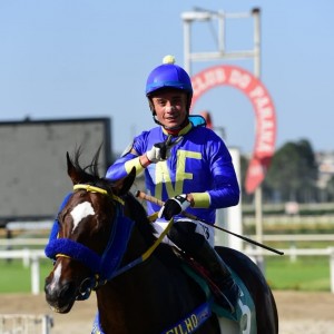 Tarsílio PE Duque de Caxias paddock