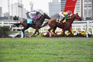 Unique Experience 04.09