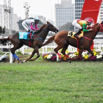 Unique Experience (Tiger Heart) vence em Cidade Jardim