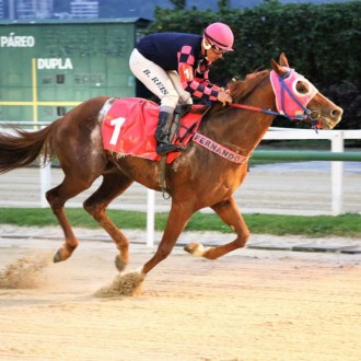 Yevgueni Oneguin conquista 6ª vitória na Gávea