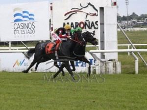 Rainha Pioneira25.10