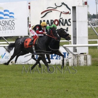 Rainha Pioneira vence a 12ª carreira no Uruguai