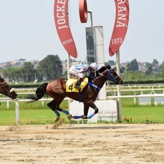 Royal Forestry vence preparatória para o GP Paraná