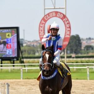 Royal Forestry 01.10 paddock