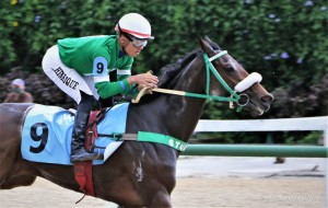 MY Endless Love 23.11 foto aproximada