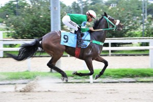 My Endless Love 23.11 chegada