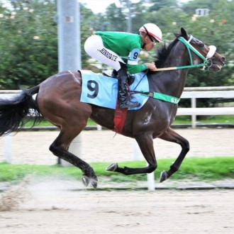 My Endless Love (Tiger Heart) vence a primeira na Gávea