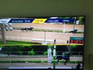 My Endless Love 23.11 disco