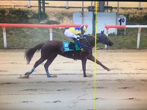 Patrick VAlete 27.11 chegada