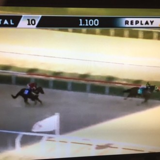 Patrick Valete (Tiger Heart) vence no Cristal