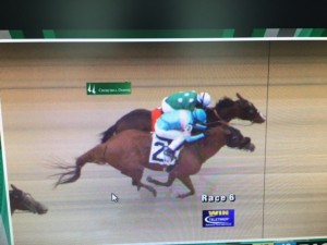 Takafumi 22.11 fotochart