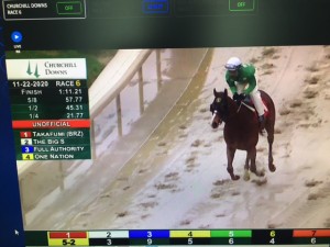 Takafumi 22.11 pós canter