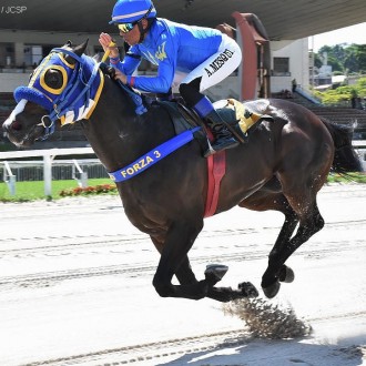 Takashi conquista sua 10ª vitória