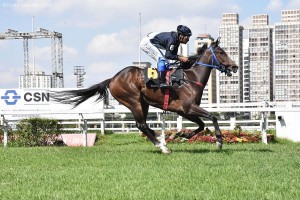 Unchain My Heart 21.11