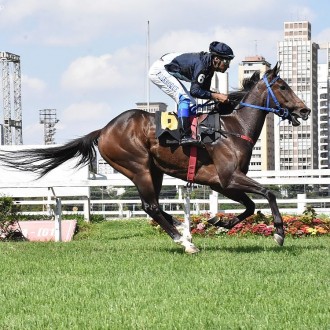 Unchain My Heart vence a primeira em Cidade Jardim