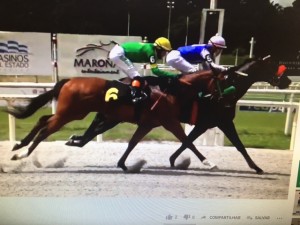 Upper Class =- Cl Amodeo chegada