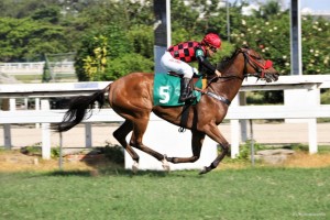 Ginger Touch 21.12 chegada