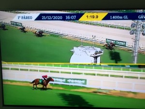 Ginger Touch 21.12 foto da TV