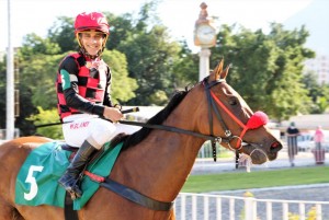 Gingler touch 21.21 Blandi com a égua