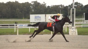 RAinha Pioneira 25.09 chegada