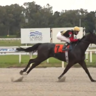Rainha Pioneira vence sua 13ª carreira no Uruguai