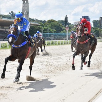 Takashi conquista sua 11ª vitória